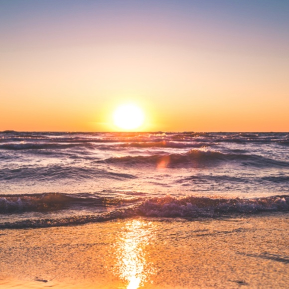 Meet your Posher, Jessica - Picture 1 of 1